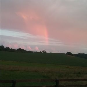 Meet your Posher, Angie